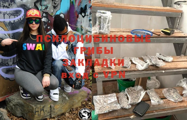альфа пвп Дмитриев