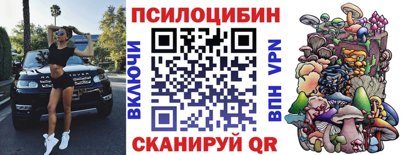 Галлюциногенные грибы Psilocybe  гидра как войти  Обь  хочу  